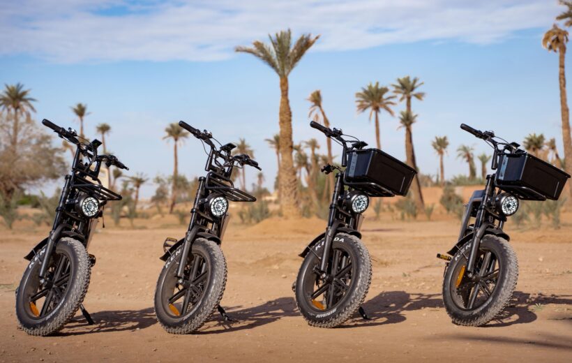 E-BIKE RENTAL: Explore Marrakech on your own past!