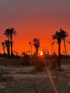 EbikeXplore Marrakech – E-bike Tours place picture